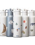 Stainless Steel Water Bottle - City 475ml